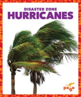 Hurricanes by Meister, Cari